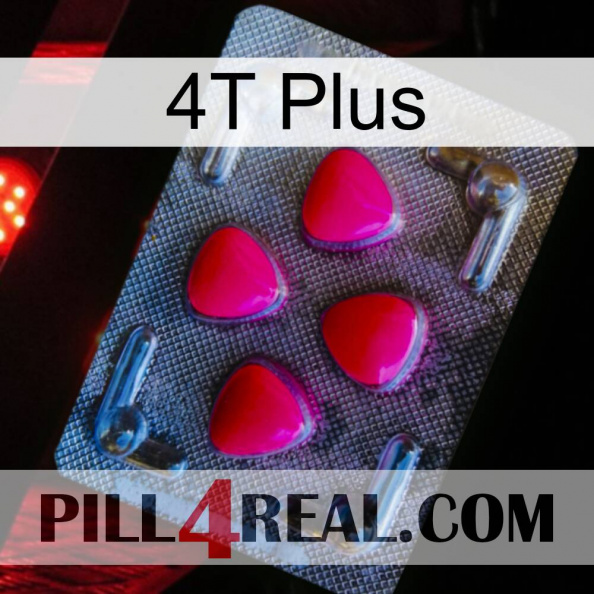 4T Plus 13.jpg